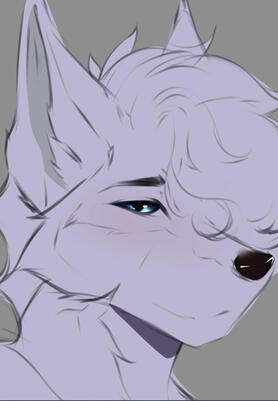 Coloured Sketch Coloured Sketch